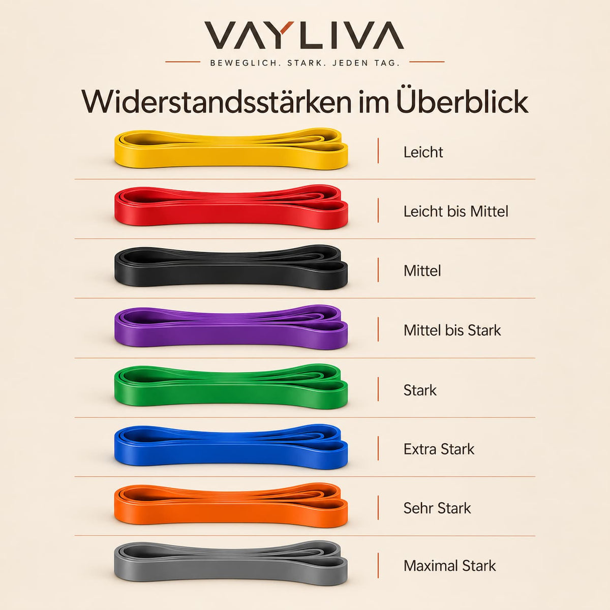 VAYLIVA Widerstandsband – dein ganzes Training in einem Band